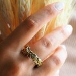 Cage Serisi/1. Yüzük